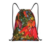 bmnaswt Sac à dos pliable avec cordon de serrage imprimé feuilles et fruits rouges d'automne pour la plage, la randonnée, la gym et les courses quotidiennes, Noir , M, Sac à dos de voyage