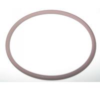 BMW EGR Cooler Heat Exchanger Valve Seal Gasket O-Ring 11717794785 Genuine