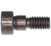 BMW M52 M54 Engine VANOS Camshaft T30 Torx M6 Bolt LHT 11361748745 Genuine