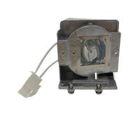 BNEAIGHW Ampoule de Projection SP-LAMP-070 Lampes de Remplacement compatibles avec INFOCUS IN122 IN124 IN125 IN126 IN2124 IN2126 éclairage de scène