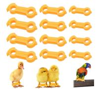 BNGXR 12 Pièces Poulet Jambes Correction Bandes, Support de Jambe pour Poussins, Correcteur d'oiseaux Bandes de Pied Bagues Traitement, Anneaux de Traitement pour Canaris, Perruches, Petites Cailles
