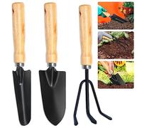 BNGXR Kit d'outils de Jardin, 3 pièces Outils de Jardinage Petite Pelle de Jardin, Râteaux et Spade Noir Ensemble Outils Jardinage Garden Tool Set pour Bonsaï, Fleurs en Pot