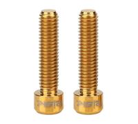 Bnineteenteam 2Pcs Titane Alliage Vélo Disque De Frein Étrier Vis Boulons M6 X 25mm Boulons Vis pour Mountain Bike(Or) Vis Disque
