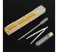 Bnineteenteam Boîte d'élevage, Boîte d'élevage de Ferme en Acrylique avec Château 'Eau Hydratant, Facile à Installer pour Les Amateurs de Fourmis (nid Jaune)