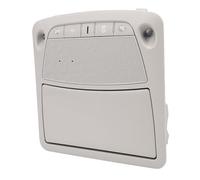 Bnineteenteam Console Aérienne Intérieure de Voiture, Remplacement Direct avec Numéro OEM 26430C990D, Fabriquée en Matériau ABS de qualité Supérieure pour Bluebird SYLPHY XTrail Altima 2013