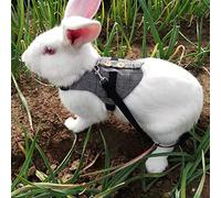 Bnineteenteam Harnais et Laisse pour Lapin, Gilet en Coton pour Activités de Plein Air, Conception Anti-Fuite avec Laisse Réglable pour Petits Lapins (S)