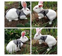 Bnineteenteam Harnais et Laisse pour Lapin, Gilet en Coton pour Activités de Plein Air, Conception Anti-Fuite avec Laisse Réglable pour Petits Lapins (M)