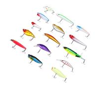 Bnineteenteam Kit de Leurres de Pêche, Ensemble d'appâts Durs et Souples de 15 Pièces avec Plastique ABS Réaliste pour Les Amateurs de Pêche en Eau Douce et en Eau Salée