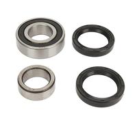 Bnineteenteam Kit de Roulement D'essieu Arrière Fiable 1011291 1014207, Kit de Joint D'huile de Remplacement pour Voiture de Club adapté au Chariot électrique DS