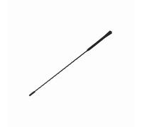 Bnineteenteam Vis de mât: Antennes Fuba de Plafond au FM Fit pour Fit pour pour, Installation Facile pour les Amateurs de Voitures (16 pouces; Tuyau droit 6 pouces)