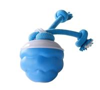 Bnnlqpsttg Jouet Interactif Intelligent Rechargeable par USB pour Animaux de Compagnie D'Intérieur