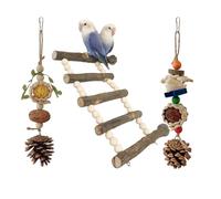 bnsggl Balançoire en bois pour perroquets - Fournitures de dressage pour perroquets - Fournitures debout en luffa