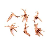 bnsggl Cachette naturelle délicate pour terrarium, cachettes de crevettes, décoration d'habitat d'aquarium