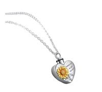 bnsggl Collier urne funéraire pour animal domestique - Collier en forme de cœur - Fournitures de bijoux pour animaux de compagnie