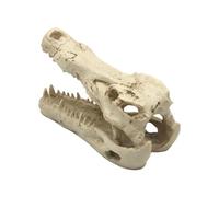 bnsggl Crâne d'alligators artificiels pour aquarium, terrarium, crevettes, décorations pour aquariums