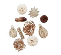 bnsggl Jouet durable pour perroquets en bois résistant aux morsures pour perroquets en cage pour un divertissement naturel en toute sécurité