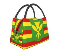 BNVSADC Sac à déjeuner isotherme avec imprimé drapeau hawaïen indigène pour femme et homme, sac isotherme portable réutilisable pour le travail, l'école, le pique-nique en plein air