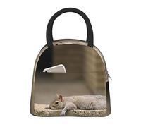BNVSADC Sac à déjeuner isotherme avec imprimé écureuil qui vient de se coucher pour homme et femme, grand sac isotherme réutilisable en film d'aluminium pour bureau, école, pique-nique, plage, noir