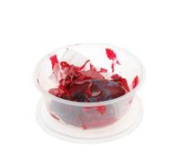 Bo?Te Avec Restes Humains 16 X7 Cm Rouge