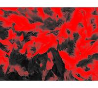 Boa de plumes en véritable rouge et noir 200 cm