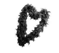 Boa pour déguisements, accessoires de costume noir élégant de 1,8 m de long - Châle de fête Boa léger pour déguisement | Pour femmes adultes danseuses artistes interprétation célébration