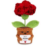 BOAITE Cadeau de fête des mères pour maman - Cadeau d'anniversaire pour maman spéciale mère fille - Œillets de girofle - Pomme de terre positive - Série de fleurs au crochet (œillet rouge)