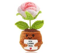 BOAITE Cadeau « Ich liebe Dich » pour femme et homme, cadeau pour couple, rose de poche, cadeau pour partenaire, anniversaire de mariage, cadeau d'anniversaire pour elle et lui, cadeau d'amour pour