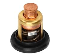Boat Motor Thermostat | High Accuracy 60°C Copper Thermostat for 15HP / 25HP / 30HP / 40HP / 220HP Outboard Motors | Marine Motor Cooling System Part