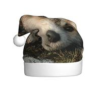 BOAXXL Bonnet de Père Noël en peluche avec imprimé chiot curieux, doux pour la peau, taille universelle, couvre-chef de festival pour adultes