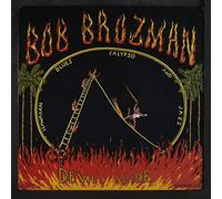 BOB BRUZMAN - devil's slide LP