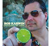Bob Karwin - Reinventing The Wheel
