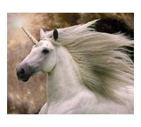 BOB LANGRISH - Unicorn / Cheval - AFFICHE G