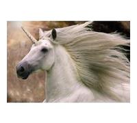 BOB LANGRISH - Unicorn / Cheval - AFFICHE G