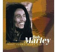 Bob Marley - Soul Shake Down Party