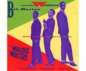 Bob Marley & The Wailers - Simmer Down At Studio One