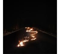 Bob Moses Battle Lines (CD) Album