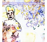 Bob Moses - Drummingbirds