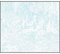 Bob Ostertag - Verbatim