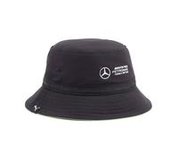 Bob Puma MAPF1 Statement S