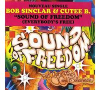 BOB SINCLAR FEAT. DOLLARMAN & GARY PINE - Sound of Freedom
