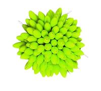 Bobbers de pêche | Perle de pêche | Haricot spatial coloré | Flotteurs de pêche | Boules flottantes lumineuses | 100 x Haricots flottants ovales à sept étoiles | Perle de blocage de pêche | Bouchon de