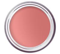 Bobbi Brown Makeup Joues Pot Rouge Velvet Matte Pêche mutée 8,5 g