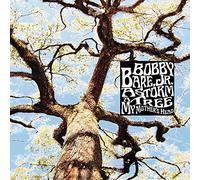 Bobby Bare Jr. - A Storm-A Tree-My Mother's Head
