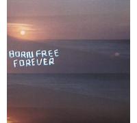 Bobby Birdman - Born Free Forever