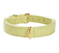 Bobby Evasion Collier pour Chien Vert Taille 45