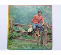 BOBBY GOLDSBORO - goldsboro LP