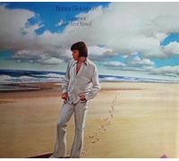 Bobby Goldsboro - SUMMER THE FIRST TIME LP (VINYL) ITALIAN UNITED ARTISTS 1973