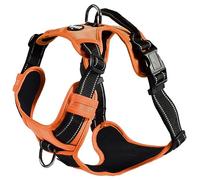 Bobby Rando Walk Harnais pour Chien en Nylon Taille Moyenne, Confortable, réfléchissant, réglable, Orange, M/40-63 x 2 cm
