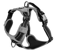 Bobby Rando Walk - Harnais pour Chien, Harnais pour Chien Moyen Petit Grand Chien en Nylon, Sûr, Confortable, Réfléchissant, Ajustable, Gris, S/32-48x1,6 CM