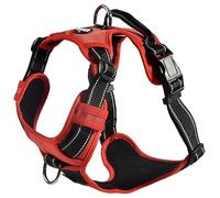 Bobby Rando Walk - Harnais pour Chien, Harnais pour Chien Moyen Petit Grand Chien en Nylon, Sûr, Confortable, Réfléchissant, Ajustable, Rouge, M/40-63x2 CM